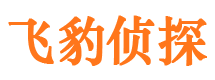 锦江市侦探调查公司